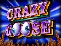 Crazy Goose