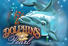 Dolphins pearl