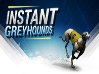 Instant Virtual - Greyhounds