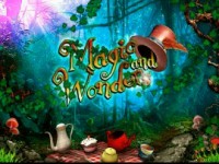 Magic & Wonders