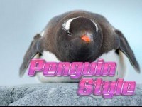 Penguin Style