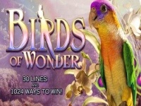 Birds of Wonder