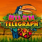 Bush Telegraph