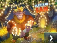 Electric Sam