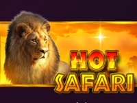 Hot Safari