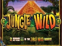 Jungle Wild