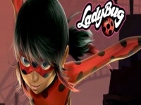 LadyBug Adventures