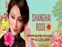 Shanghai Rose