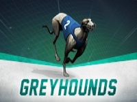 Virtual Racing - Greyhounds