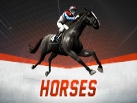 Virtual Racing - Horses