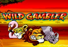 Wild Gambler