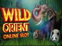 Wild Orient