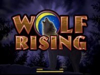 Wolf Rising