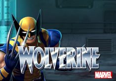 Wolverine PT